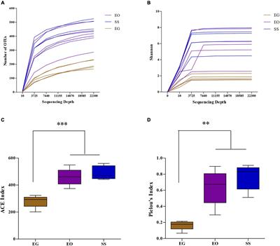 Wolbachia Strain wGri From the Tea Geometrid Moth Ectropis grisescens Contributes to Its Host’s Fecundity